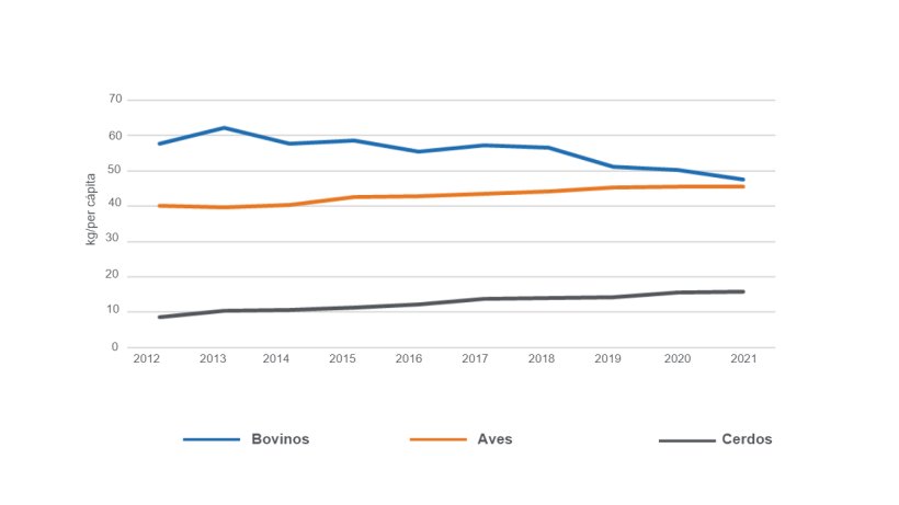 Fuente: MAGyP, 2022. 